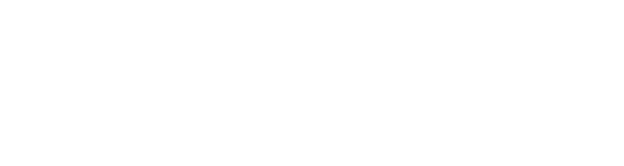 Asesor del Inmigrante logo